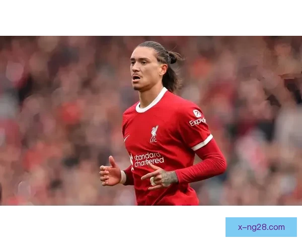 努涅斯以七千五百万欧元加盟利物浦引发球迷热议