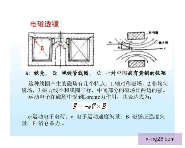 麦肯纳伊普斯维奇连跳技术解析及其在现代运动中的应用研究